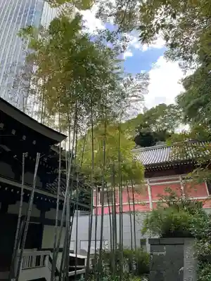 青松寺(東京都)