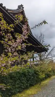 頂妙寺(京都府)