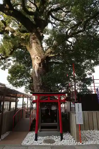 金剛宝寺（紀三井寺）(和歌山県)