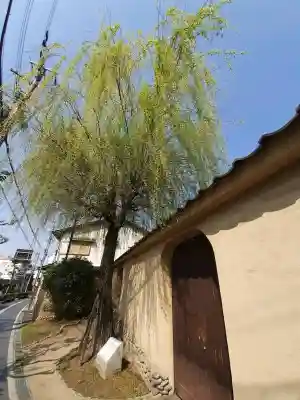 白乳神社（春日大社境外末社）の{uncategorized: "未分類", other: "その他", undefined: "問題あり", building: "その他建物", grave: "お墓", sacred_gate: "鳥居", guardian: "狛犬", statue: "像", buddha: "仏像", history: "歴史", nature: "自然", garden: "庭園", animal: "動物", pagoda: "塔", temizu: "手水舎", mountain_gate: "山門・神門", sanctuary: "本殿・本堂", subordinate: "末社・摂社", art: "芸術", scenery: "景色", jizo: "地蔵", ema: "絵馬", goshuin: "御朱印", omikuji: "おみくじ", items: "授与品その他", amulet: "お守り", goshuincho: "御朱印帳", eats: "食事", festival: "お祭り", votive_dance: "神楽", shichigosan: "七五三参", wedding: "結婚式", experience: "体験その他", initially: "初詣", around: "周辺", anti_infection: "感染症対策"}