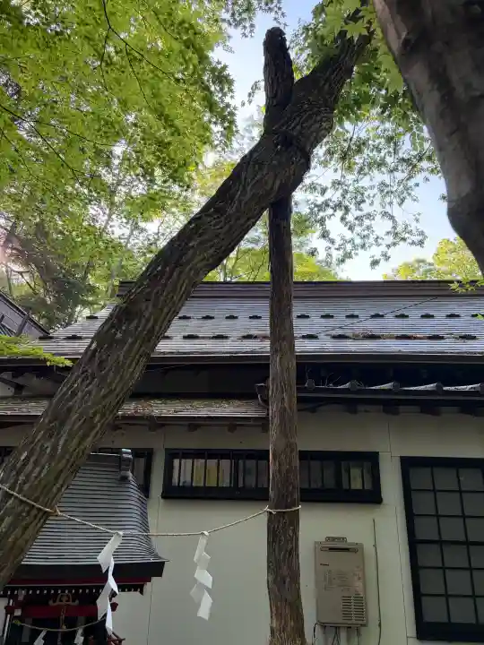 新屋山神社の{uncategorized: "未分類", other: "その他", undefined: "問題あり", building: "その他建物", grave: "お墓", sacred_gate: "鳥居", guardian: "狛犬", statue: "像", buddha: "仏像", history: "歴史", nature: "自然", garden: "庭園", animal: "動物", pagoda: "塔", temizu: "手水舎", mountain_gate: "山門・神門", sanctuary: "本殿・本堂", subordinate: "末社・摂社", art: "芸術", scenery: "景色", jizo: "地蔵", ema: "絵馬", goshuin: "御朱印", omikuji: "おみくじ", items: "授与品その他", amulet: "お守り", goshuincho: "御朱印帳", eats: "食事", festival: "お祭り", votive_dance: "神楽", shichigosan: "七五三参", wedding: "結婚式", experience: "体験その他", initially: "初詣", around: "周辺", anti_infection: "感染症対策"}