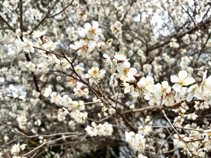 禅林寺(長崎県)