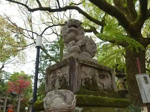 八坂神社(祇園さん)の狛犬