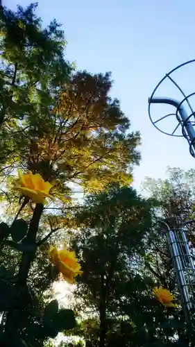 尾張大國霊神社（国府宮）の景色