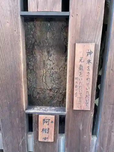 平等寺（因幡堂）(京都府)