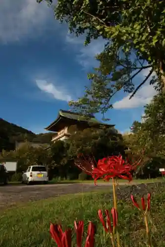 西福寺の建物その他