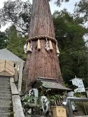由岐神社(京都府)