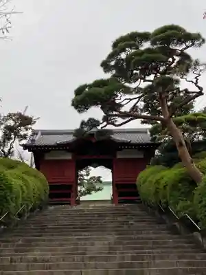 護国寺の山門・神門