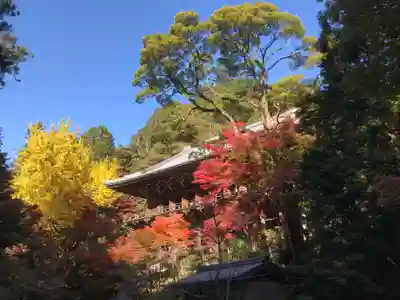 圓教寺のその他建物