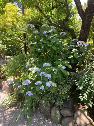 寶安寺（宝安寺）(神奈川県)