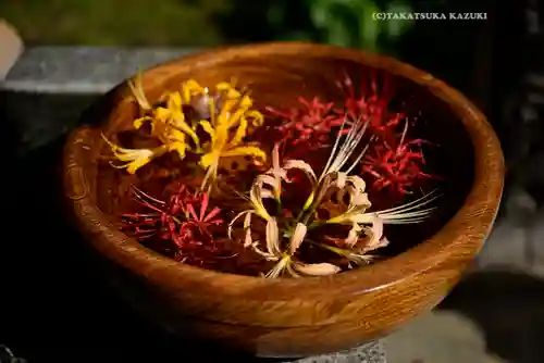 横浜　西方寺(神奈川県)