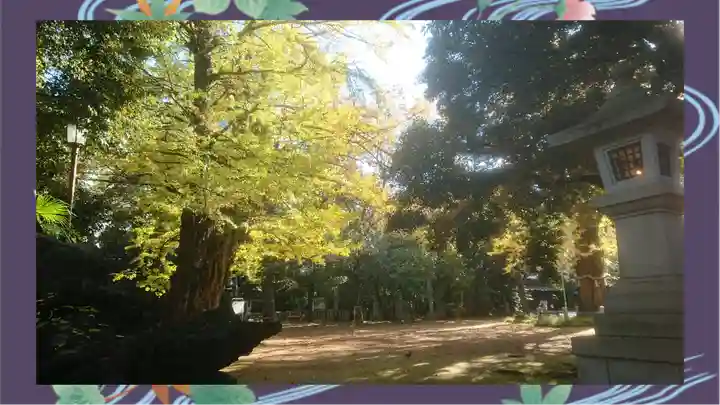 赤坂氷川神社(東京都)