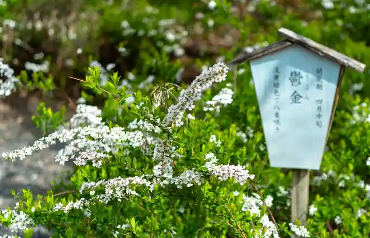 平野神社(京都府)