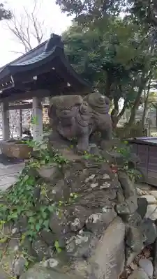 菊田神社の狛犬