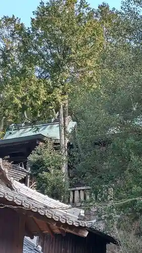 素盞嗚神社の本殿・本堂