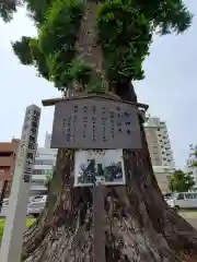 金山神社の自然