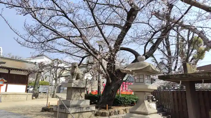 筒井八幡神社(兵庫県)