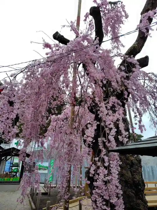 妙関寺(福島県)