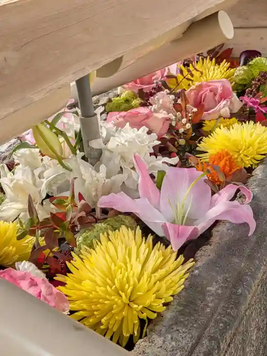 鳩森八幡神社(東京都)