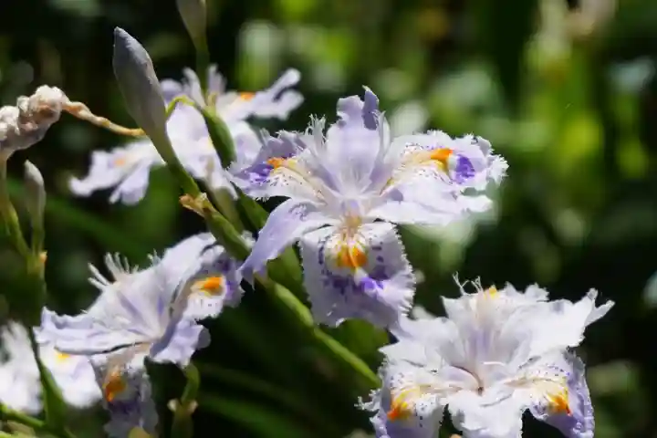 杉山谷不動尊(京都府)