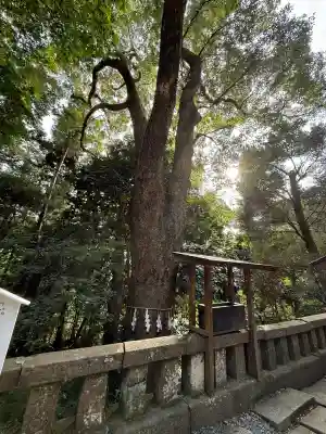 久能山東照宮(静岡県)