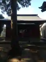 坂田氷川神社(埼玉県)