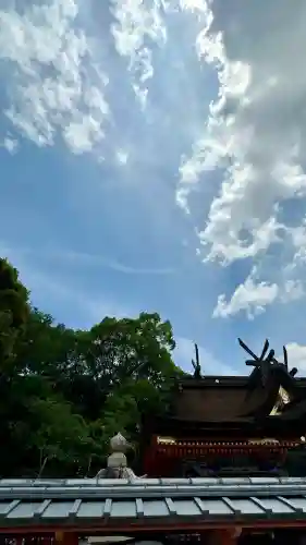 錦織神社(大阪府)