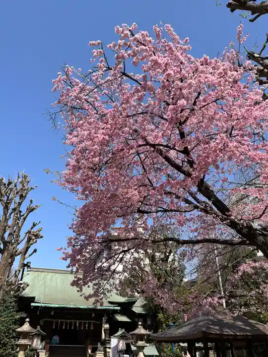 五條天神社(東京都)