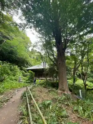 妙法寺の{uncategorized: "未分類", other: "その他", undefined: "問題あり", building: "その他建物", grave: "お墓", sacred_gate: "鳥居", guardian: "狛犬", statue: "像", buddha: "仏像", history: "歴史", nature: "自然", garden: "庭園", animal: "動物", pagoda: "塔", temizu: "手水舎", mountain_gate: "山門・神門", sanctuary: "本殿・本堂", subordinate: "末社・摂社", art: "芸術", scenery: "景色", jizo: "地蔵", ema: "絵馬", goshuin: "御朱印", omikuji: "おみくじ", items: "授与品その他", amulet: "お守り", goshuincho: "御朱印帳", eats: "食事", festival: "お祭り", votive_dance: "神楽", shichigosan: "七五三参", wedding: "結婚式", experience: "体験その他", initially: "初詣", around: "周辺", anti_infection: "感染症対策"}