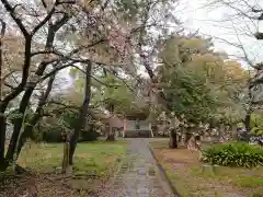 長谷院の建物その他