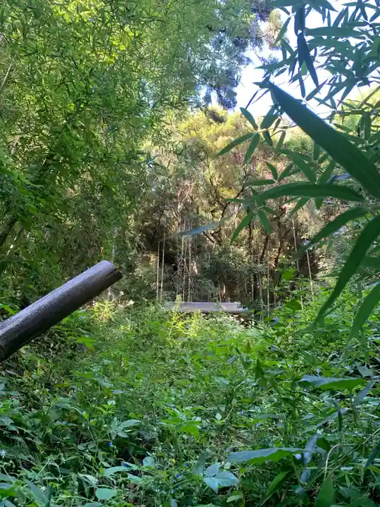 八幡神社(千葉県)