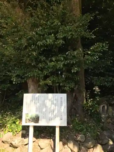 火男火賣神社（下宮）(大分県)