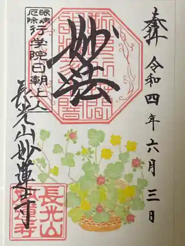 妙蓮寺の御朱印