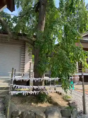 開成山大神宮(福島県)