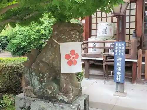 臂岡天満宮の狛犬