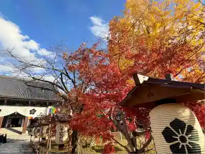  智積院(京都府)