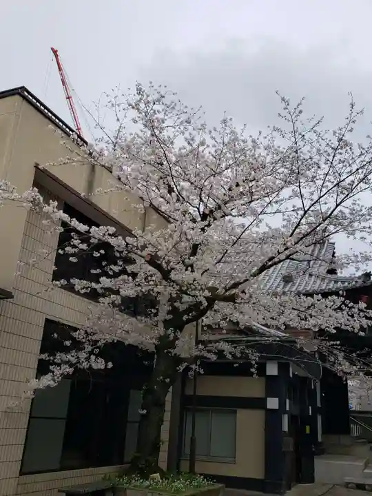 本覚寺(東京都)