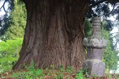 御札神社の歴史