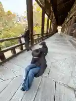 豊国神社 (広島県)