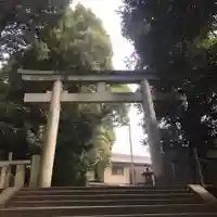 渋谷氷川神社の鳥居