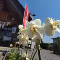 七重浜海津見神社(北海道)