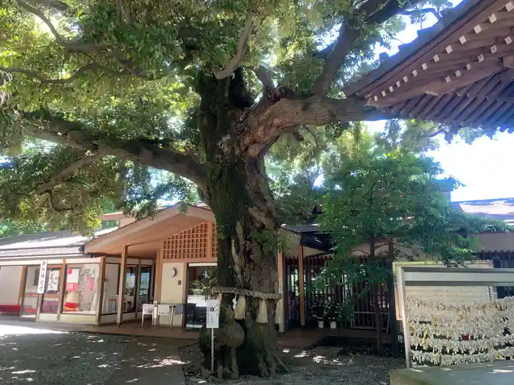 座間神社の自然