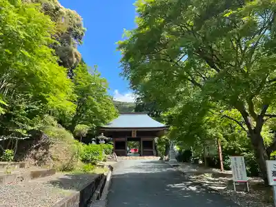 普門寺(切り絵御朱印発祥の寺)(愛知県)