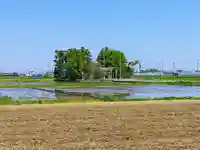 八幡社の自然