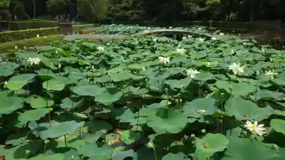 東福禅寺(東福寺)(京都府)