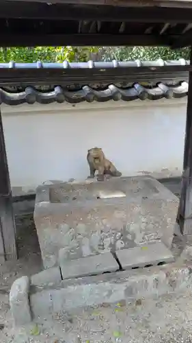 賀茂神社(京都府)