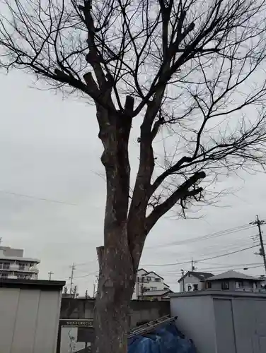 岩神稲荷神社の自然