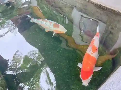 大聖観音寺（あびこ観音）(大阪府)