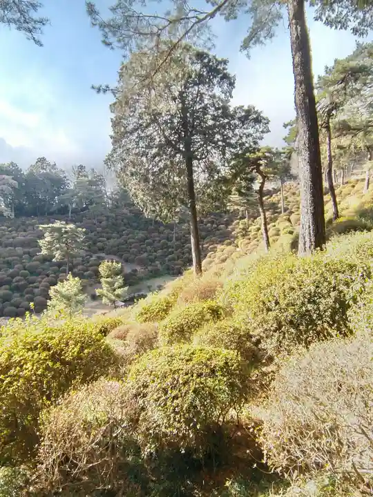 塩船観音寺(東京都)