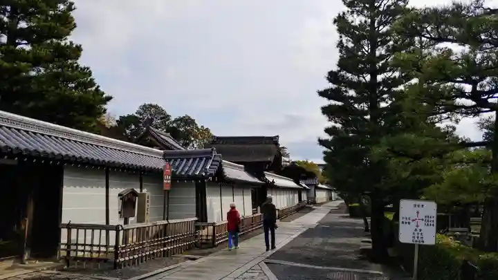 妙心寺(妙心禅寺)の周辺